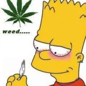 Meet your Posher, Zach